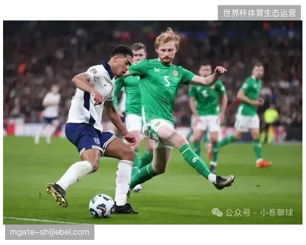 爱尔兰队在热身赛中展现了新阵容的活力，为未来赛事积累了宝贵经验
